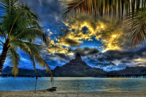 Palm trees on the beach at dusk overlooking the mountain peak and the bay