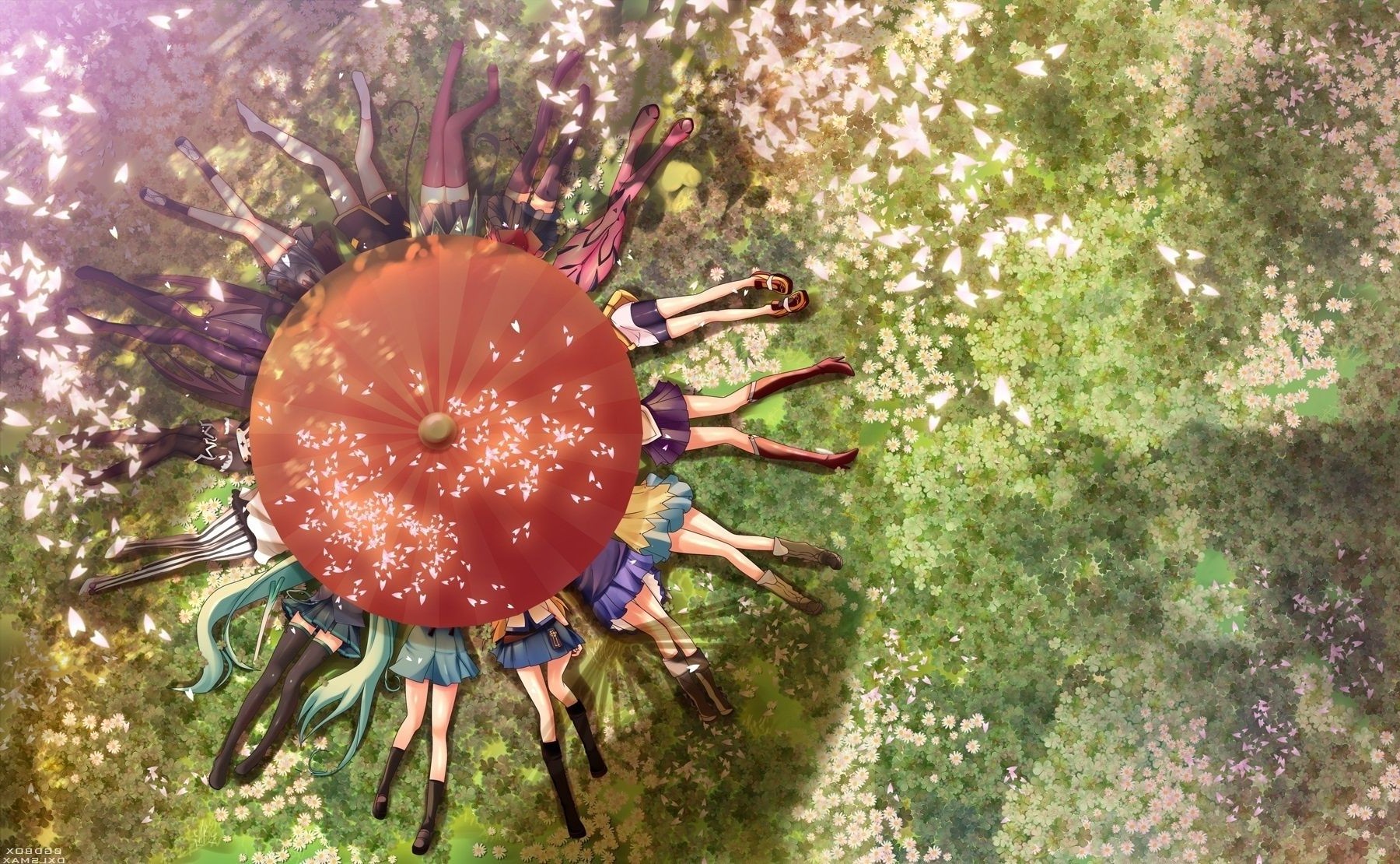 девочки и девушки природа цвет рабочего стола беспозвоночных еда флора сад дерево на открытом воздухе красивые цветок украшения яркий