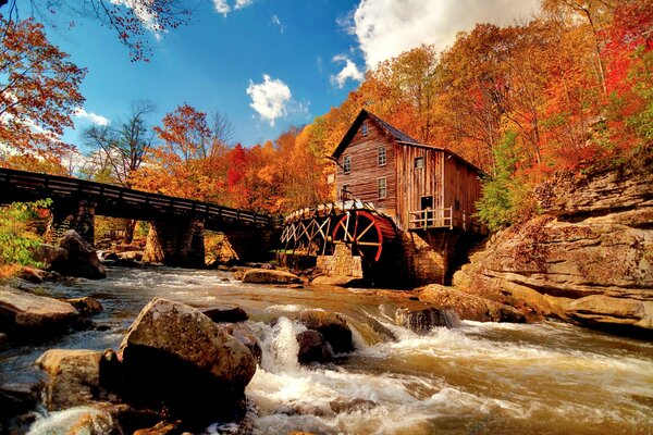 Paesaggio autunnale con fiume