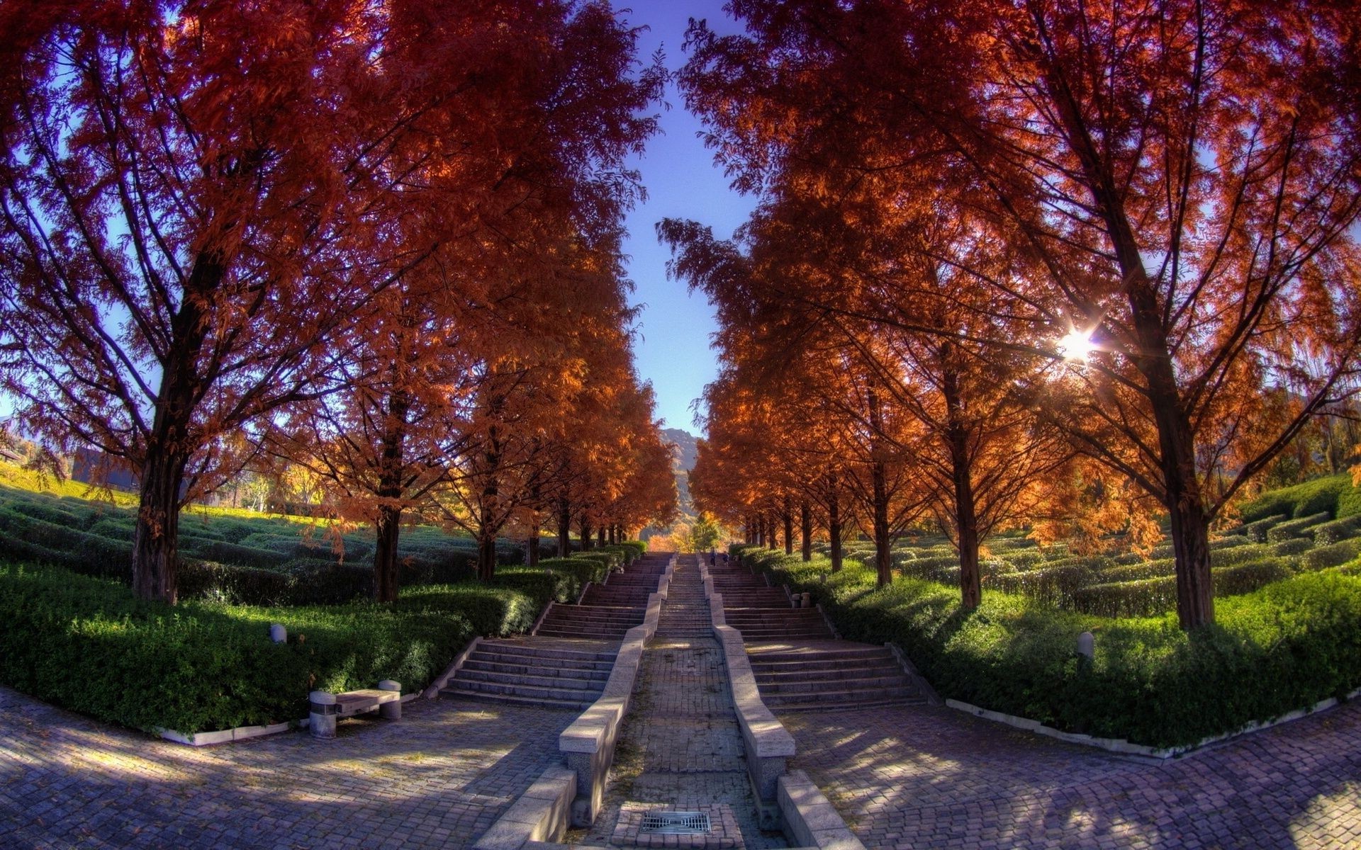 herbst baum herbst guide blatt straße park holz landschaft im freien natur gutes wetter landschaftlich jahreszeit dämmerung fußweg ländliche gasse landschaft perspektive