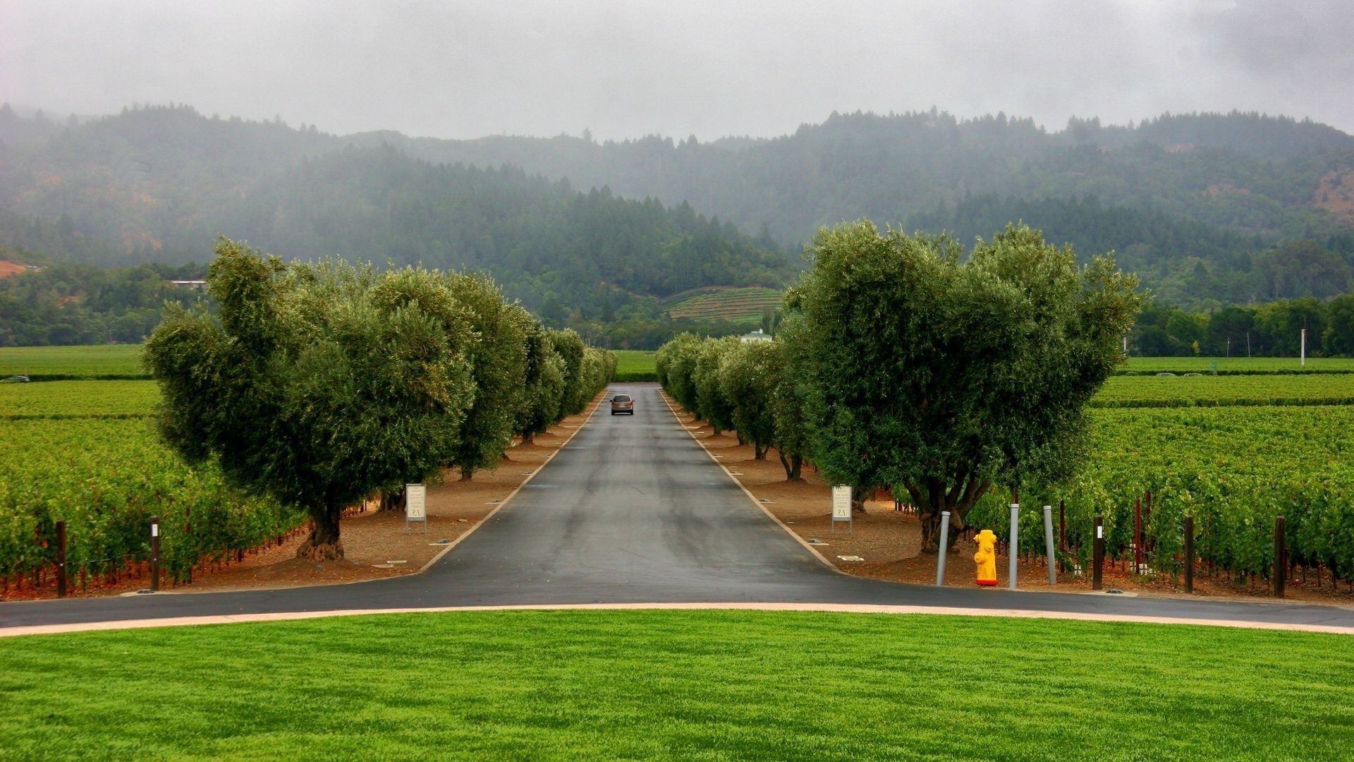 road tree grass landscape guidance nature summer park travel lawn garden sky wood country outdoors rural scenic