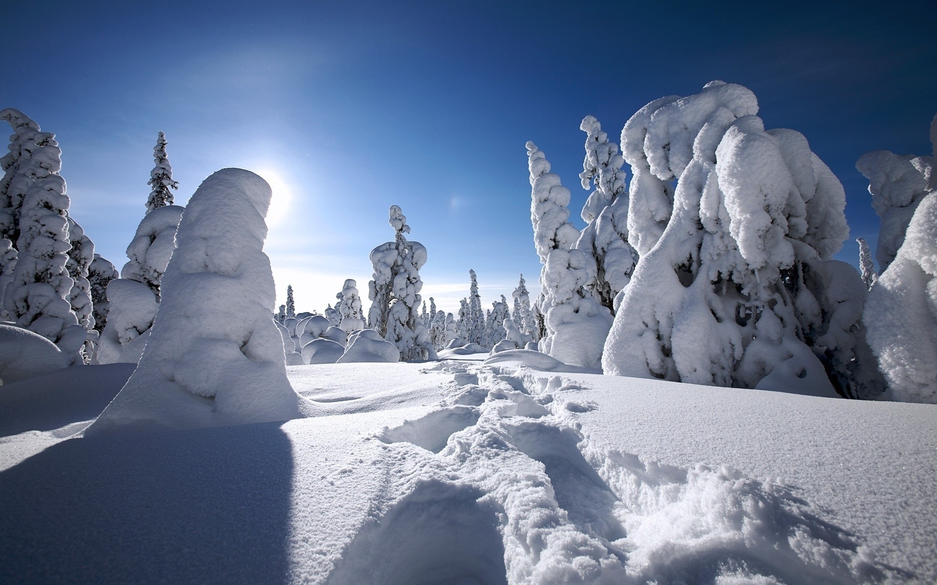 冬天 雪 冰 冷 冻结 霜冻 山 景观 霜冻 雪堆 天气 风景如画 冬季壁纸 冬季景观