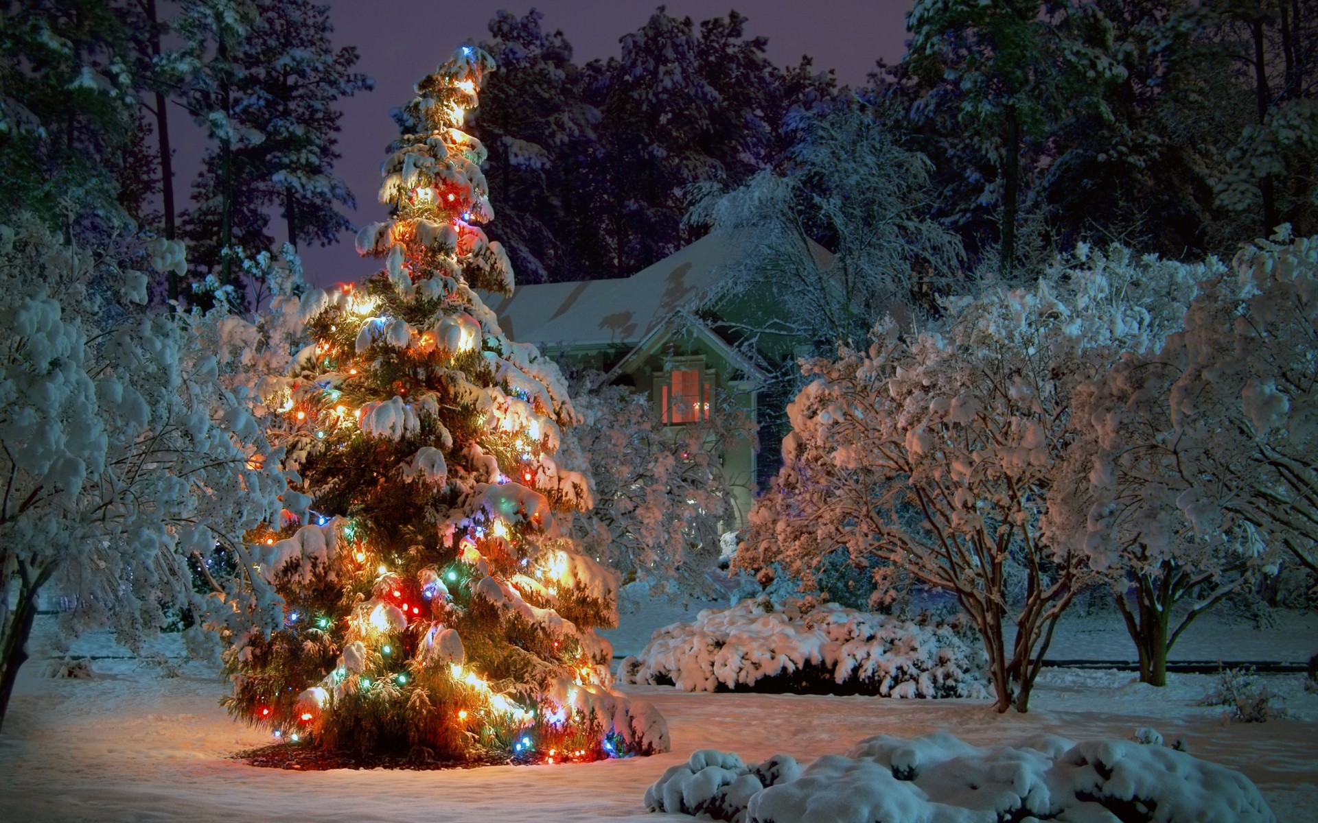 navidad árbol invierno nieve al aire libre paisaje viajes luces de navidad vacaciones