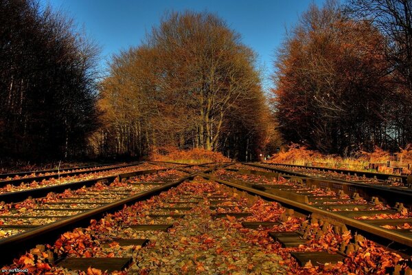 Railway in autumn