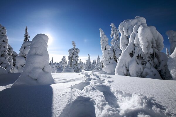 Winterlandschaften der hiesigen Orte