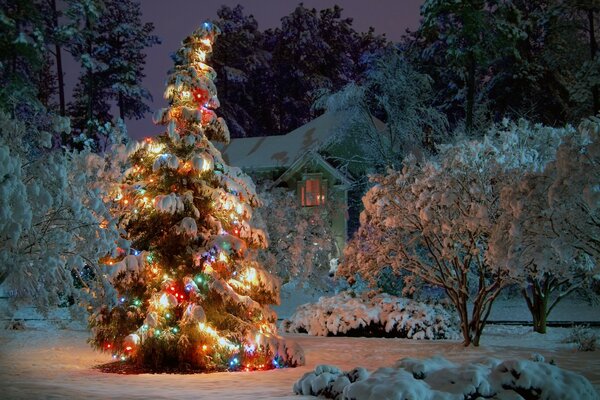 Bosque de cuento de hadas. Navidad. Invierno