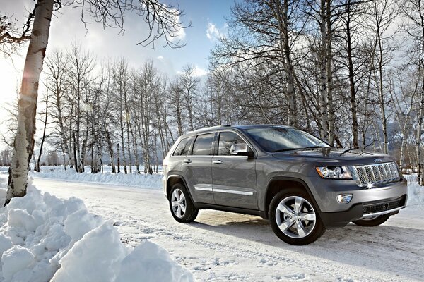 Auto auf Winter Wald Hintergrund