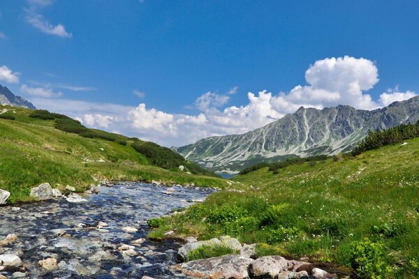 Paisaje de río de montaña pura