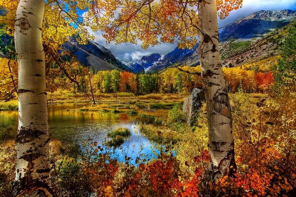 Beautiful picture of golden autumn