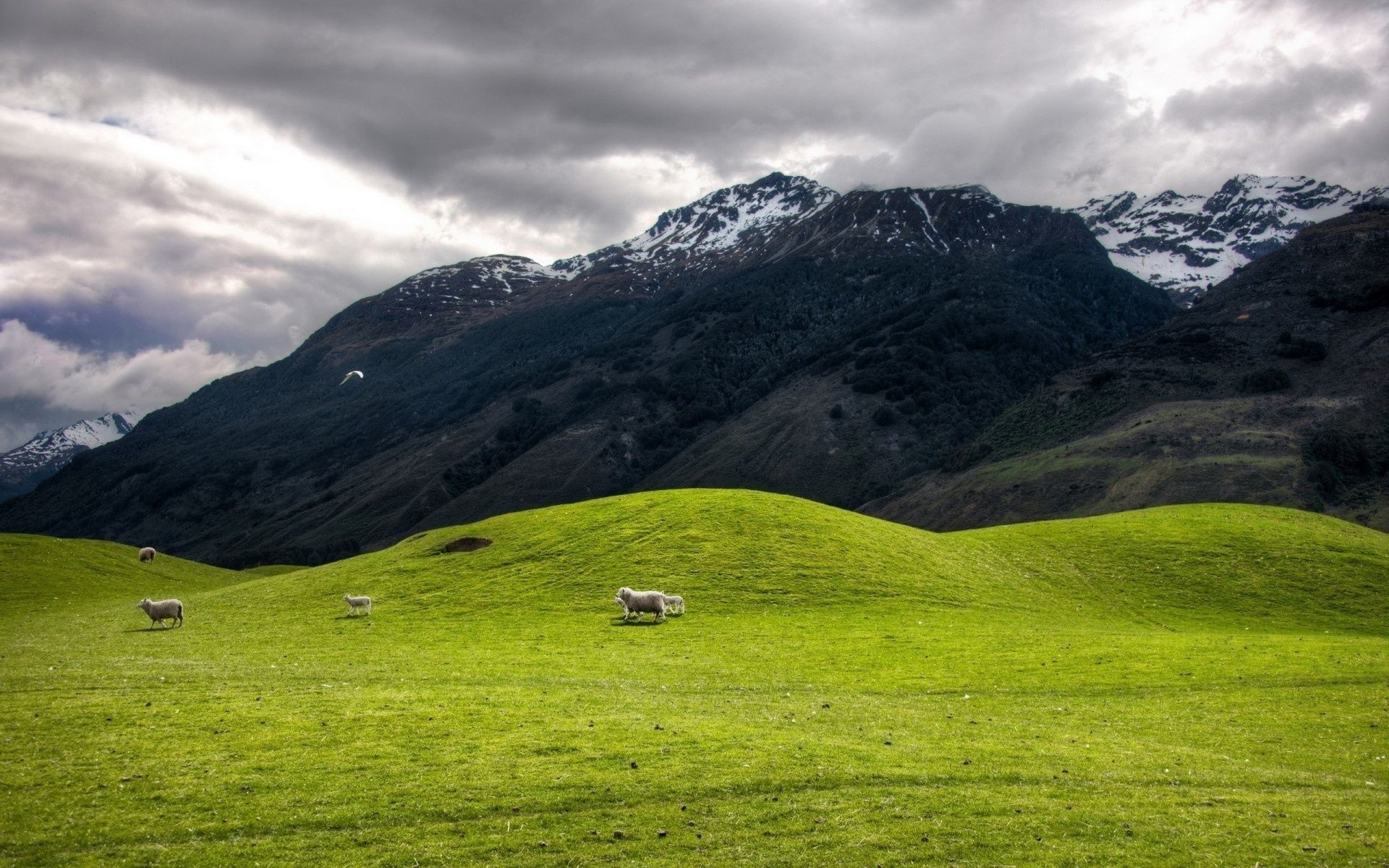 berge landschaft berge gras natur im freien reisen hügel weide himmel tal heuhaufen sommer landschaftlich schafe weiden