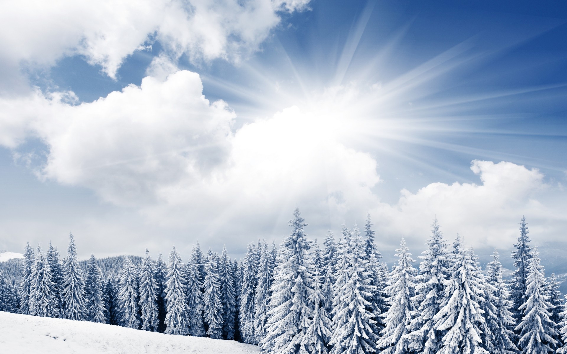 winter schnee holz frost natur kälte landschaft gutes wetter eis baum saison im freien bäume wald wolken