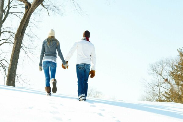 Passeggiata mattutina nella foresta invernale