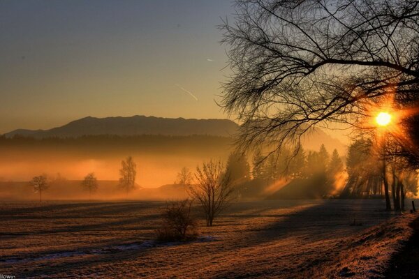 Belle soirée sur le paysage naturel