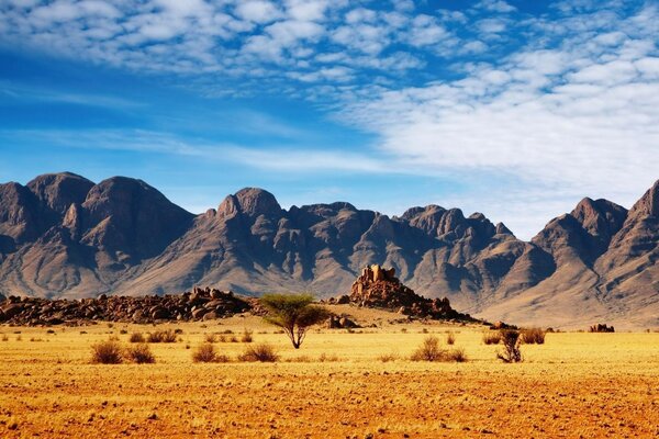 Пейзаж пустыни с высокими горами