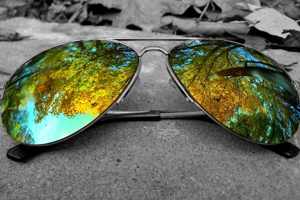 Colored sunglasses in nature