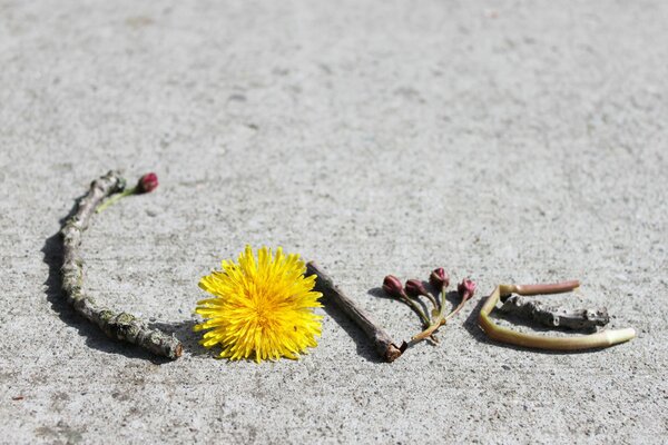 Love-Schriftzug aus improvisierten Materialien auf Sand