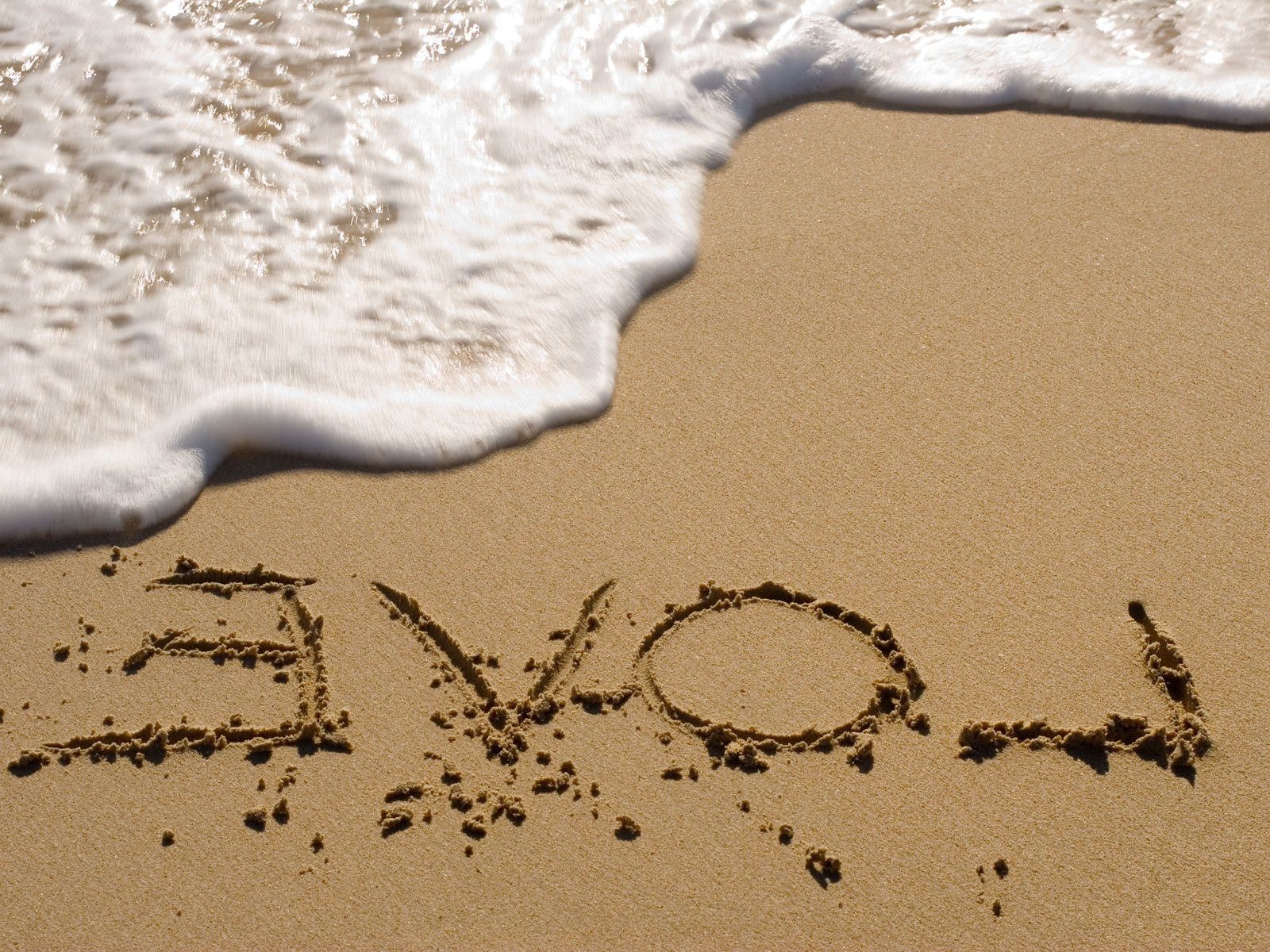 letras playa arena mar mamífero uno escritorio huella