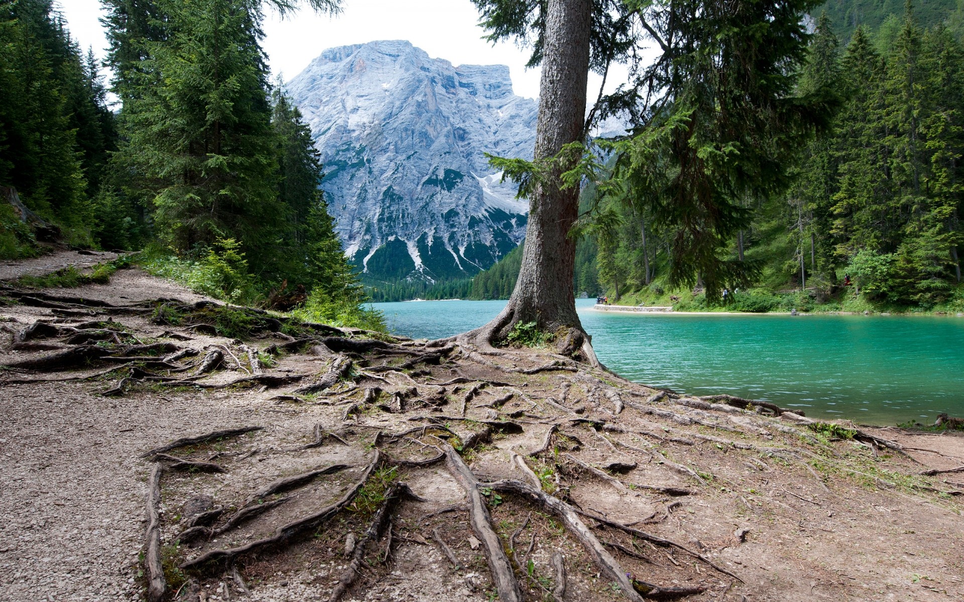 landscapes nature tree wood landscape water travel summer outdoors park sky scenic mountain rock beautiful scenery sight environment tourism pine lake forest mountains