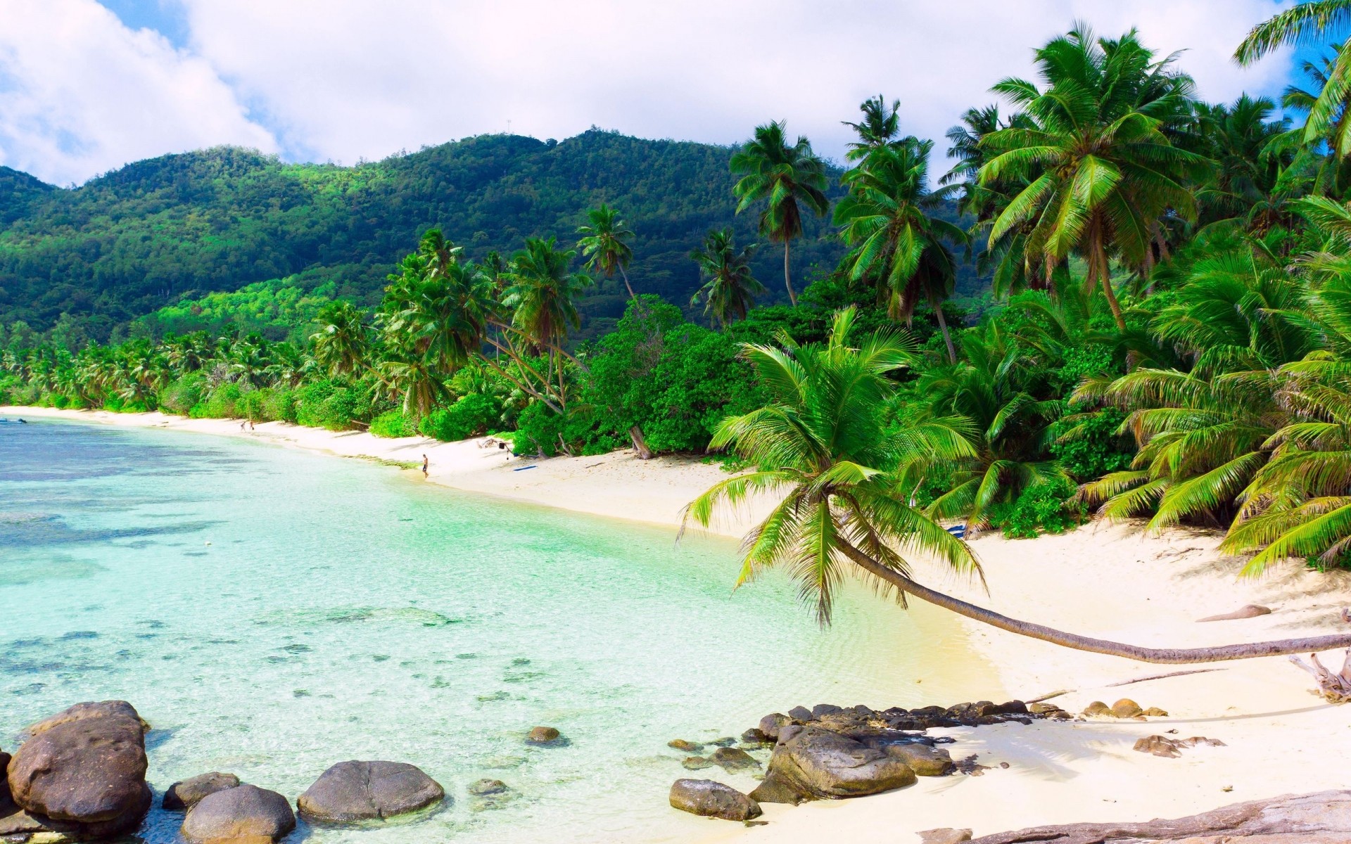 verão tropical água praia viajar areia palma coco paraíso exótico ilha mar idílio férias oceano natureza turquesa relaxamento lagoa paisagem mar