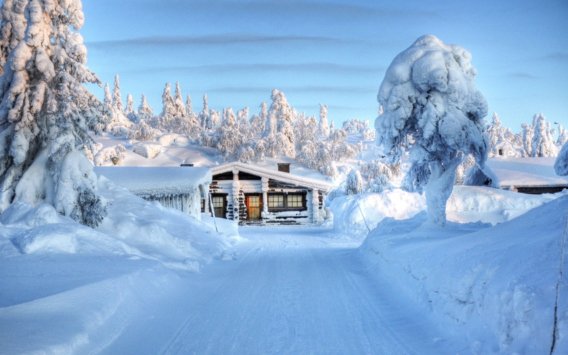 inverno neve frio gelo congelado montanhas madeira geada cênica neve tempo resort neve temporada árvores papel de parede de inverno montanhas