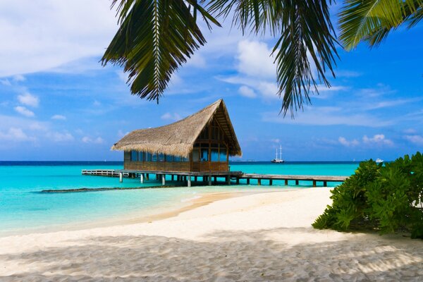 Isola tropicale con casa sull acqua