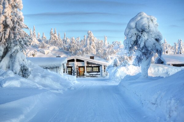 Route de la maison en hiver dans la forêt