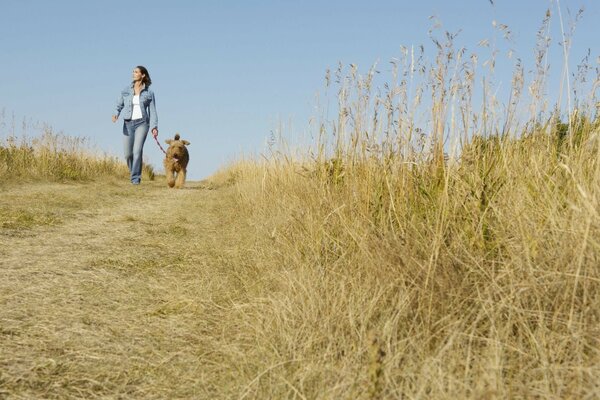 Chica con perro. Caminar en el campo