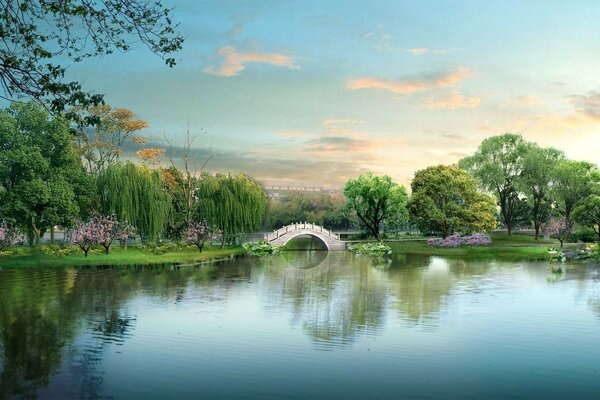 Evening lake with trees and waters