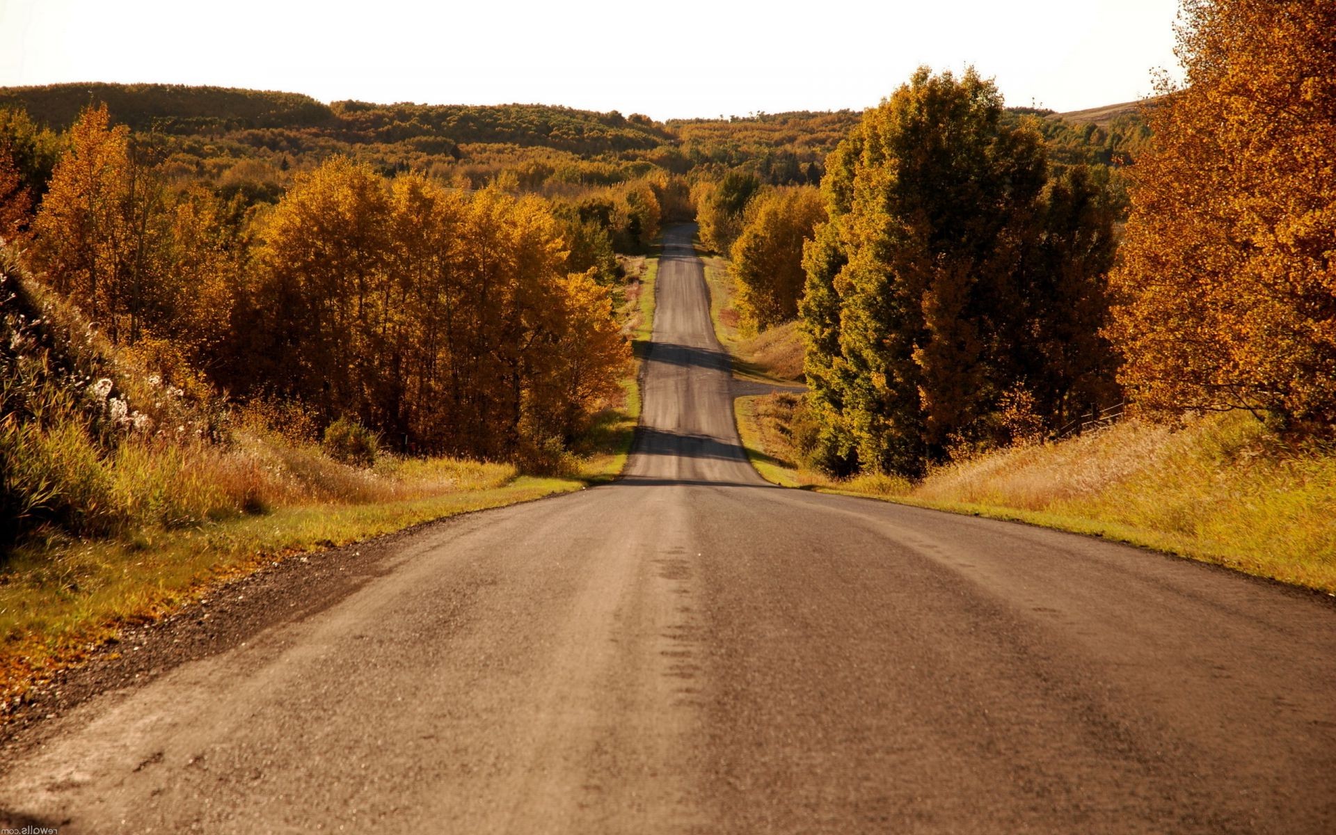 road tree fall landscape guidance nature travel sky outdoors wood highway rural park countryside