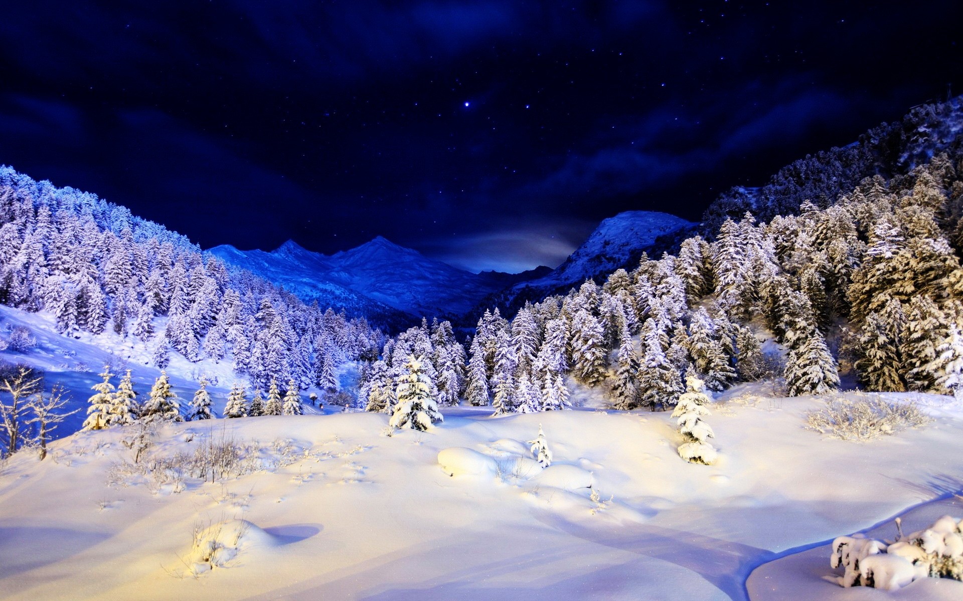 冬天 雪 冷 水 景观 冰 霜 自然 风景 户外 旅行 光 冰冻 日光 森林 树木 星星