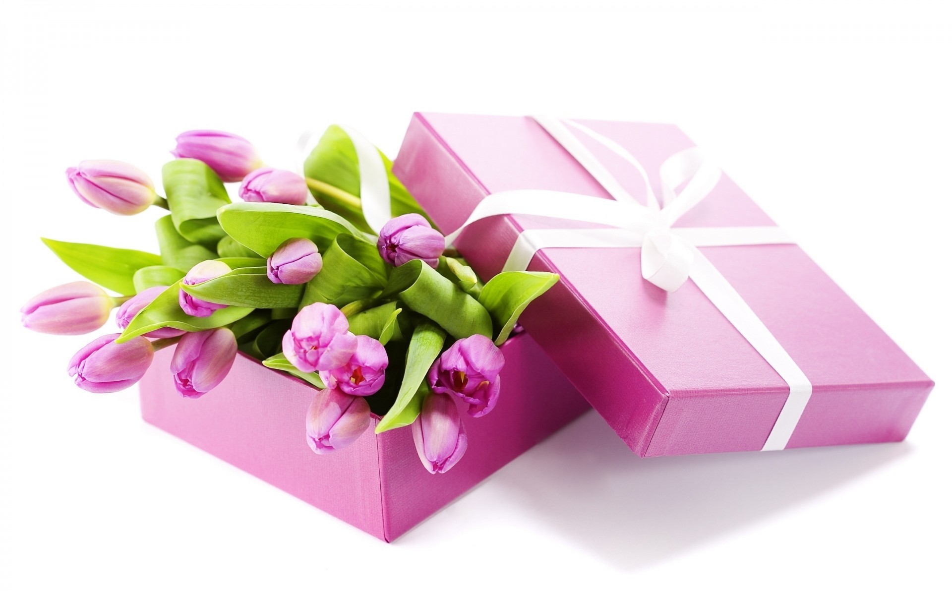 flowers gift birthday box thread anniversary desktop celebration decoration bow paper surprise beautiful love isolated purple tulips