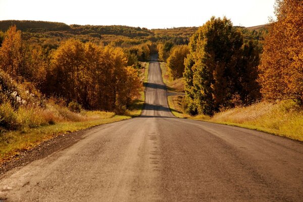 Beautiful autumn landscape in the morning