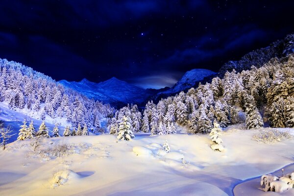 Paesaggio invernale di acqua fredda