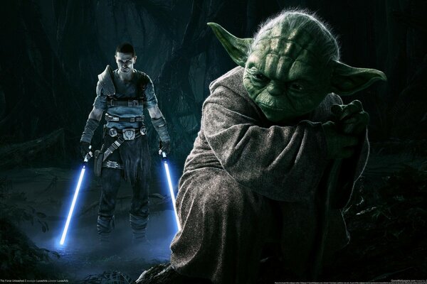 Meister Yoda und der Star Wars Jedi