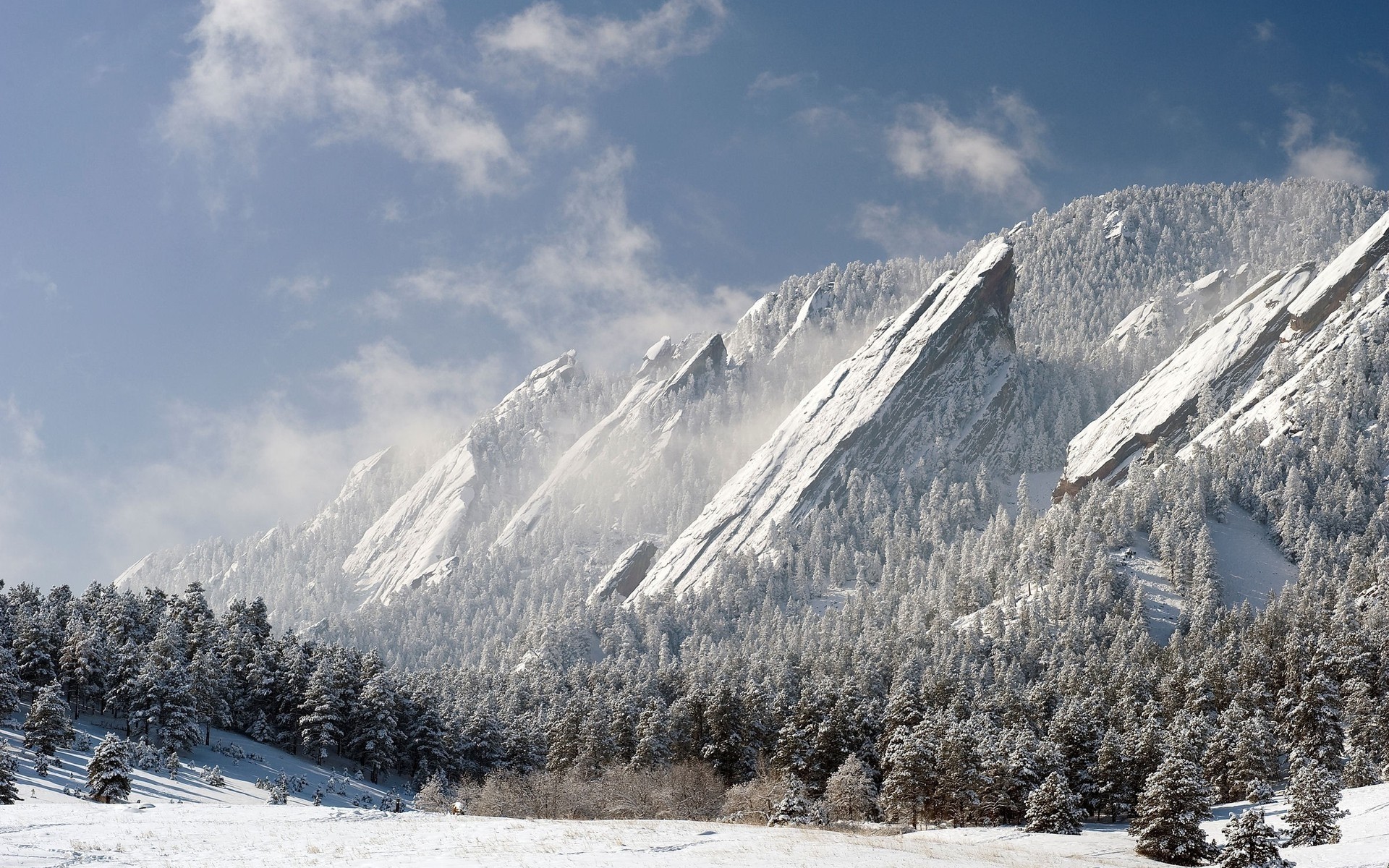 hiver neige montagne froid glace gel bois paysage scénique congelé neigeux météo nature bois forêt fond