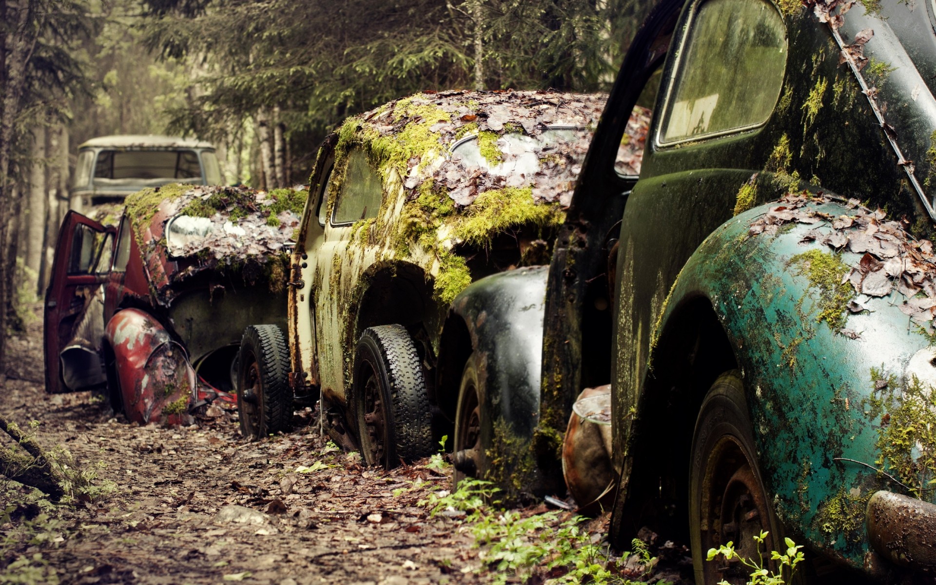 otros equipos coche coche sistema de transporte ruinas roto abandonado camión basura accidente escombros vintage bosque parque