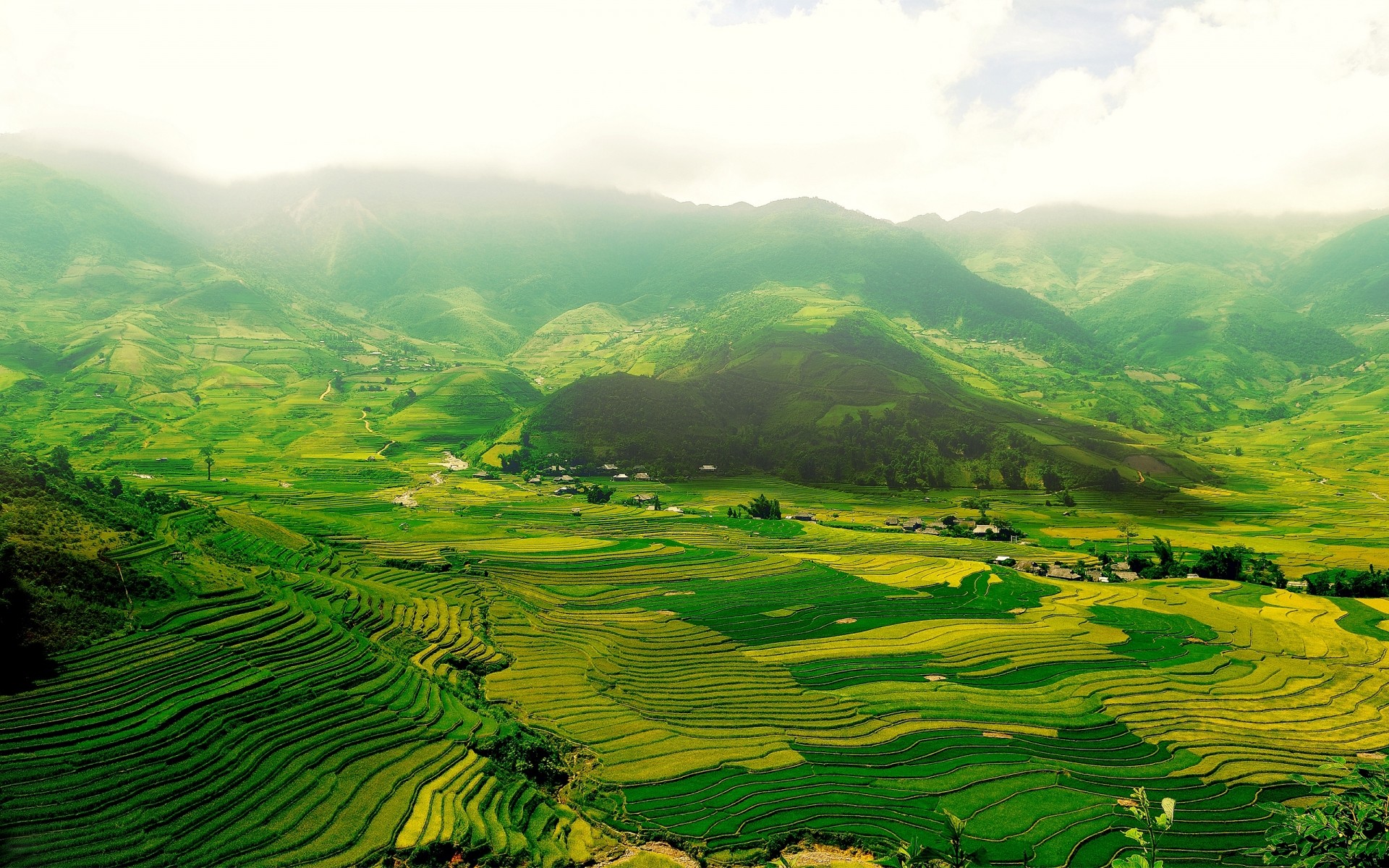 paysage terres cultivées nature voyage agriculture paysage extérieur rural croissance plantation vallée campagne colline été montagnes feuille bois bois terres agricoles tropical