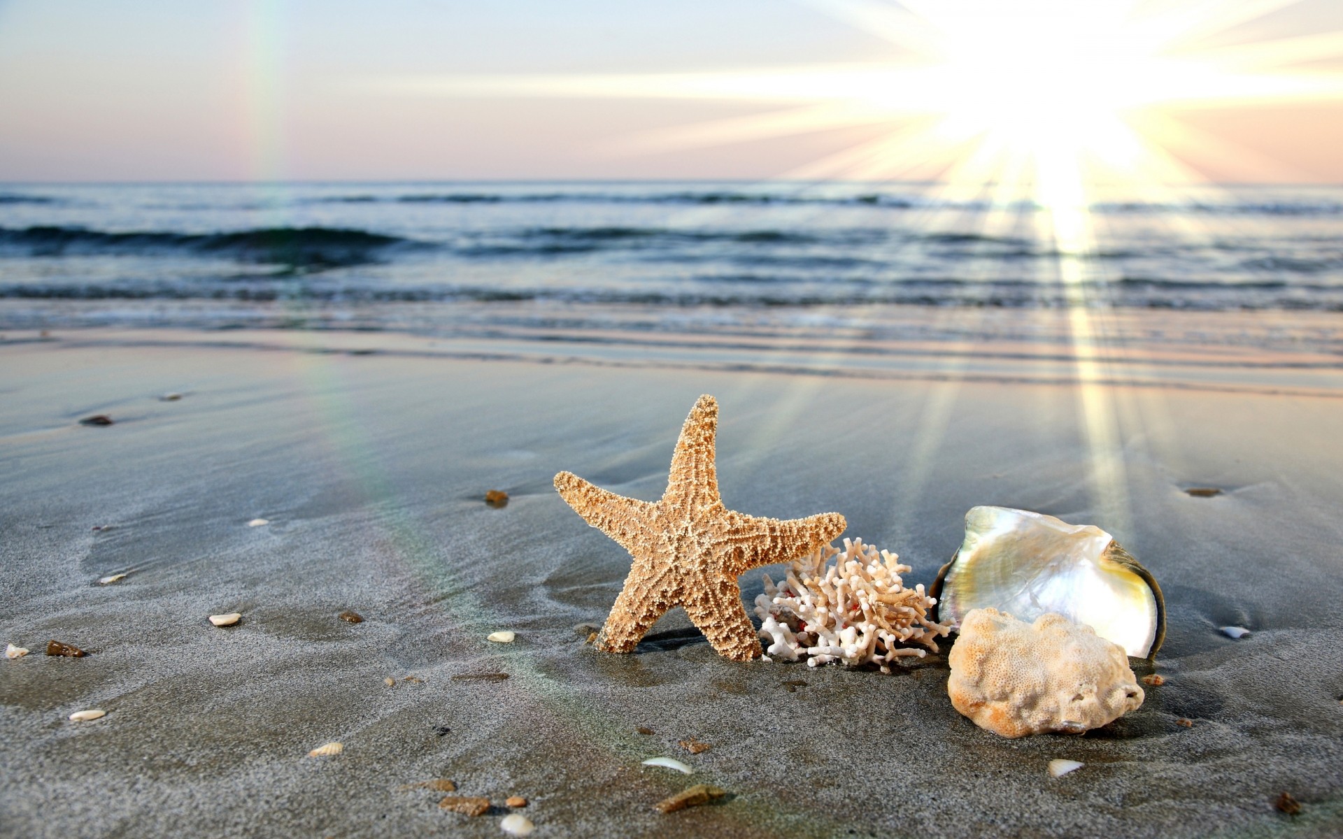 sommer strand wasser sand meer meer ozean natur sonne reisen sonnenuntergang ufer gutes wetter tropisch urlaub brandung himmel stern landschaft hintergrund