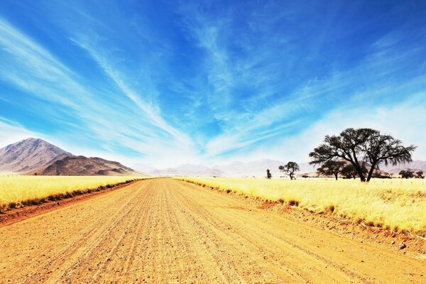 Endless rural fields with crops