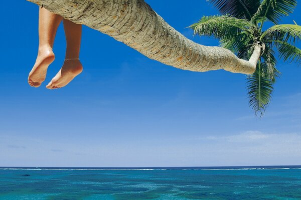 Los pies de un niño sentado en una palmera junto al agua