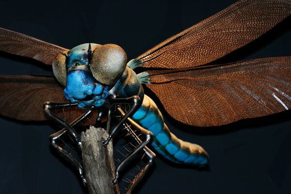 Libellule bleue aux ailes rouges