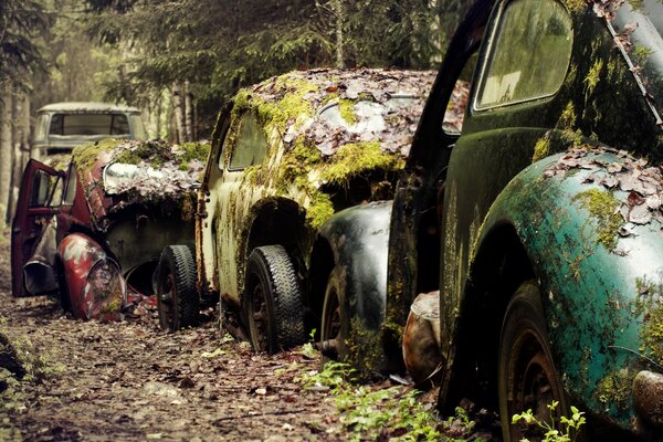 Muchos coches retro abandonados