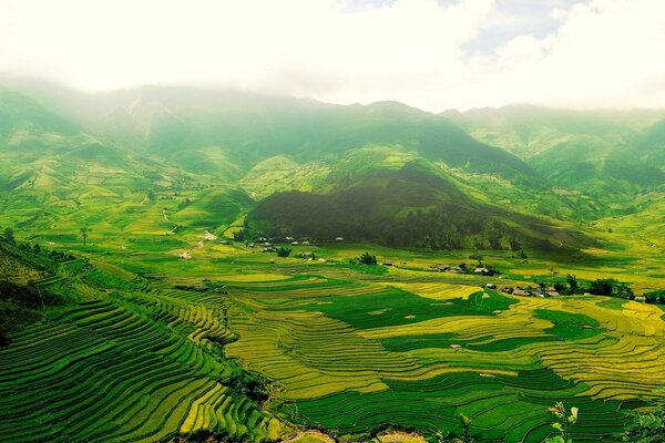 Bellissimo paesaggio primaverile. Coltivazione della terra in agricoltura