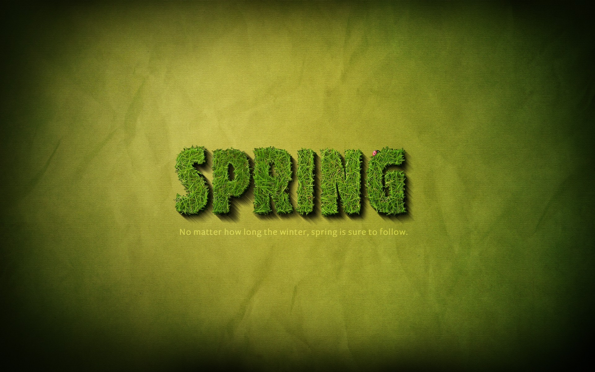 весна рабочего стола символ искусство аннотация текстура текст винтаж ретро природа трава зеленый