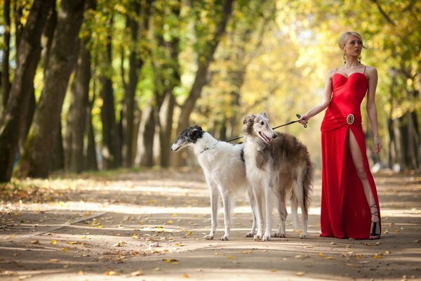 Ragazza cane passeggiata Parco