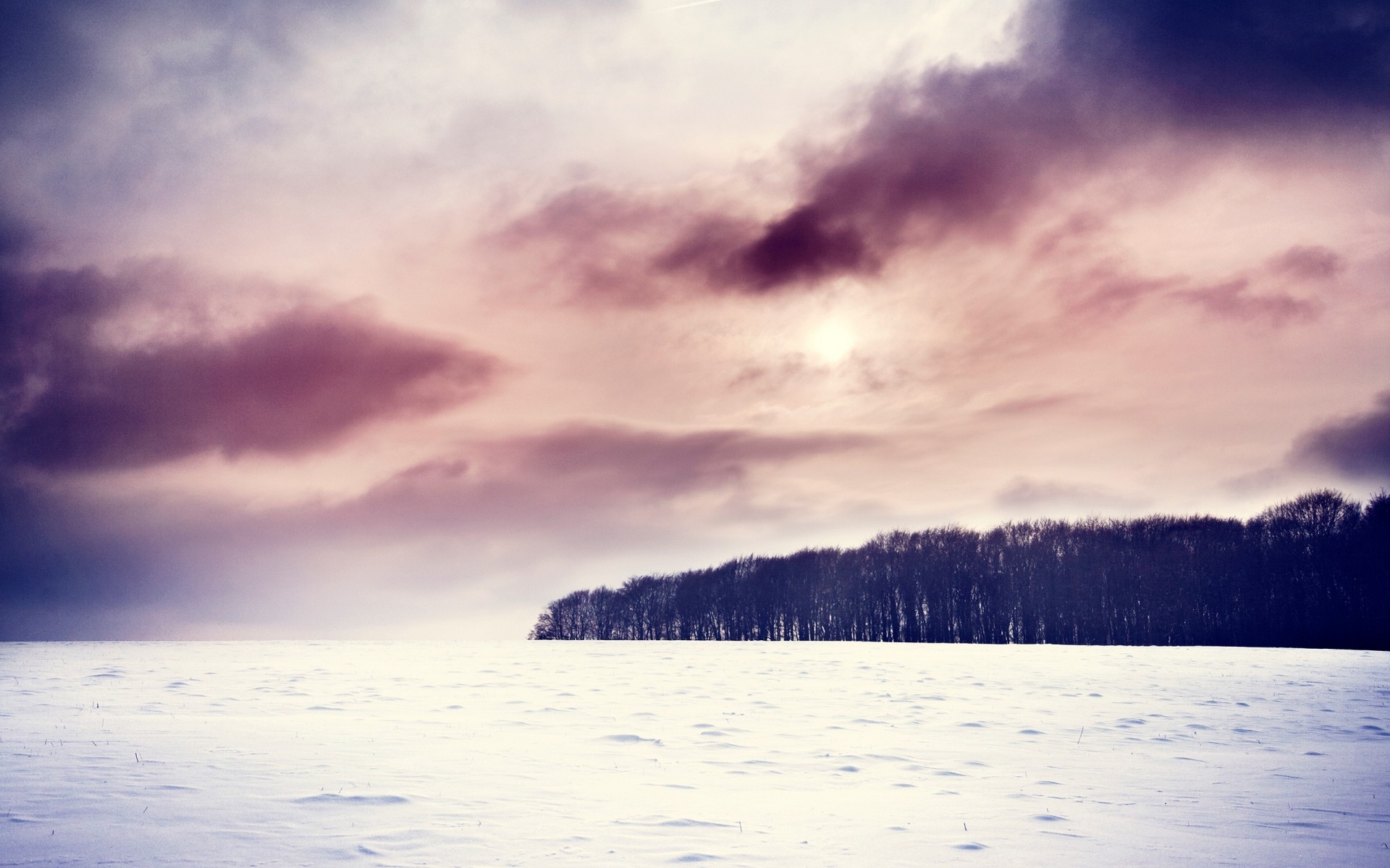 winter landscape water sunset dawn nature sky lake beach snow fog sea sun evening cloud forest tree