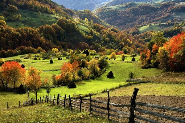 Schicke herbstliche, bunte Natur auf dem Land