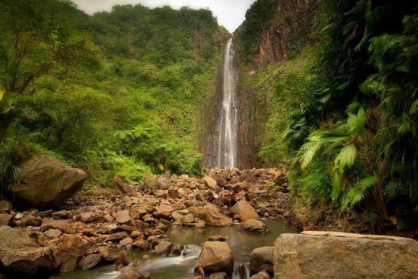 Cascata tra vegetazione esuberante