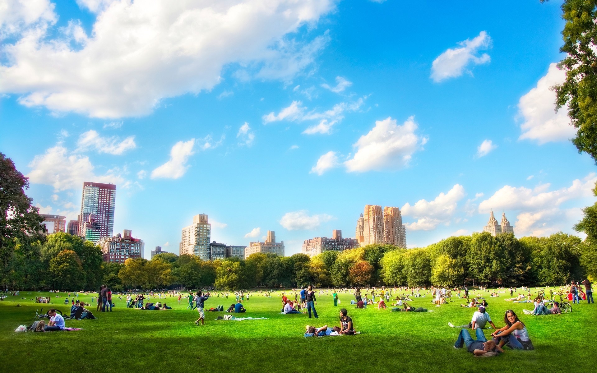 usa im freien himmel gras reisen baum tageslicht architektur haus sommer park rasen stadt landschaft erholung freude