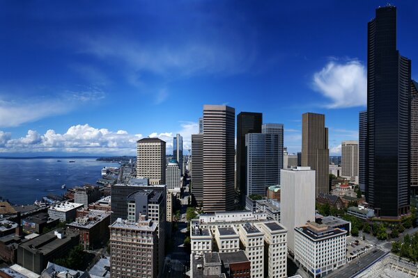 Panorama of skyscrapers in the city